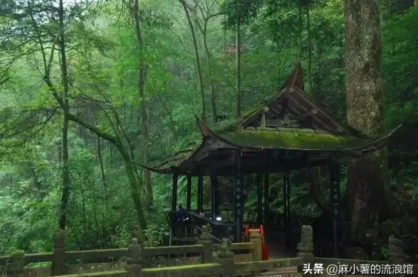 操作体验🌟广为人知的风林木雨系统实际表现如何