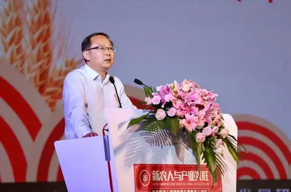 Win11亮点🌟操作系统揭秘Win11全新功能，探索你的操作系统新可能