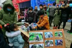 打印教程📄电脑打印操作步骤全流程解析，轻松掌握打印技巧