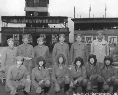 坦克大战🚩铁甲风暴：沉浸式大型坦克战场单机游戏推荐