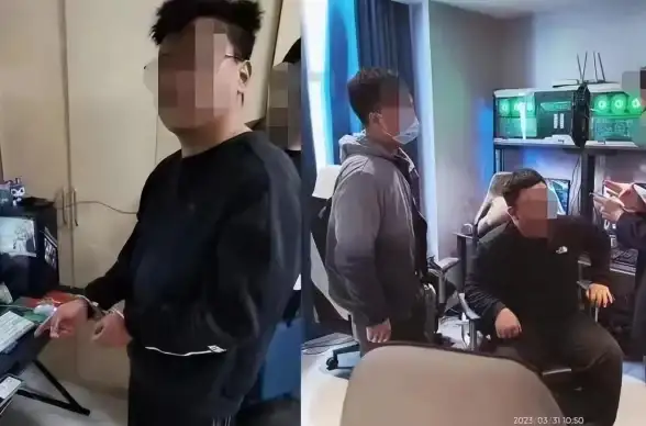 源码安全｜高效甄选指南！主站源码选型核心要点大公开】助力卡盟平台稳健升级