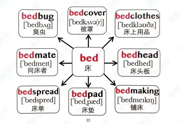 想轻松将英语融入生活？这款APP让学习变得自然有趣，你确定不试试？