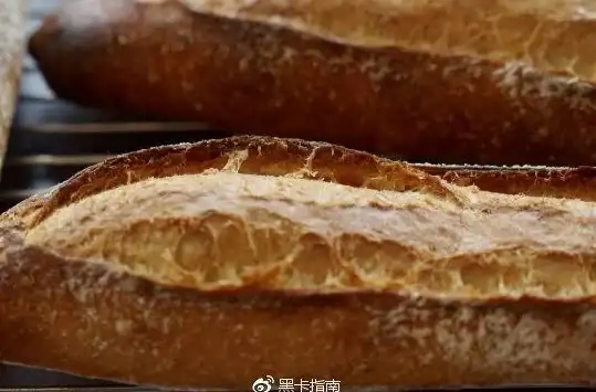 网页转图片、动图制作一键搞定？图叨叨APP难道不是你的必备神器？