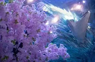 浏览器故障🟡收藏夹修复🔧遇到360浏览器收藏夹打不开？小鱼教你轻松解决