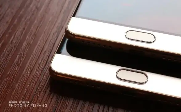 数据安全🔒文件保护｜不可错过的另类加密技巧，开启数据防护新思路
