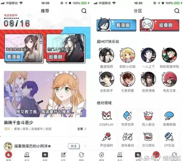 二次元社区｜B站是什么软件，适合哪些用户群体使用？