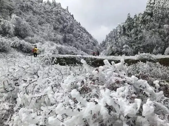 游戏攻略🔥蓬莱玉速成秘籍详解，轻松升级必备宝典