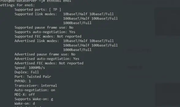CentOS 网络配置：如何在CentOS中配置多个网络接口？