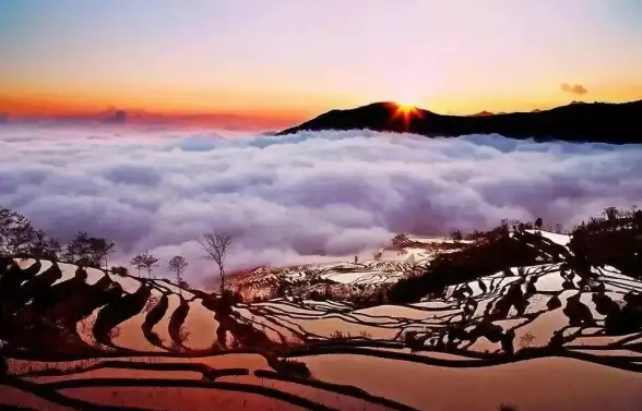 摄影📷相机天梯图片真实图：用镜头捕捉绝美风光，体验摄影的无限魅力