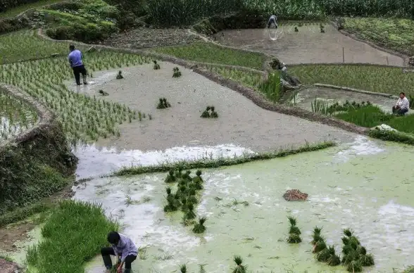 摄影📷相机天梯图片真实图：用镜头捕捉绝美风光，体验摄影的无限魅力