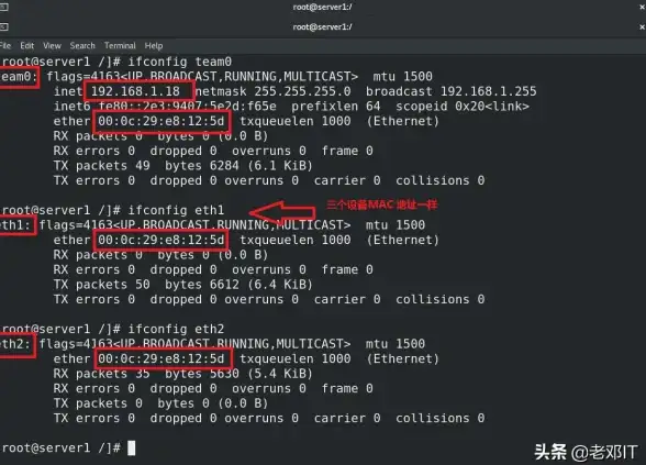 CentOS 网络配置指南：如何快速完成CentOS系统的网络设置与安装