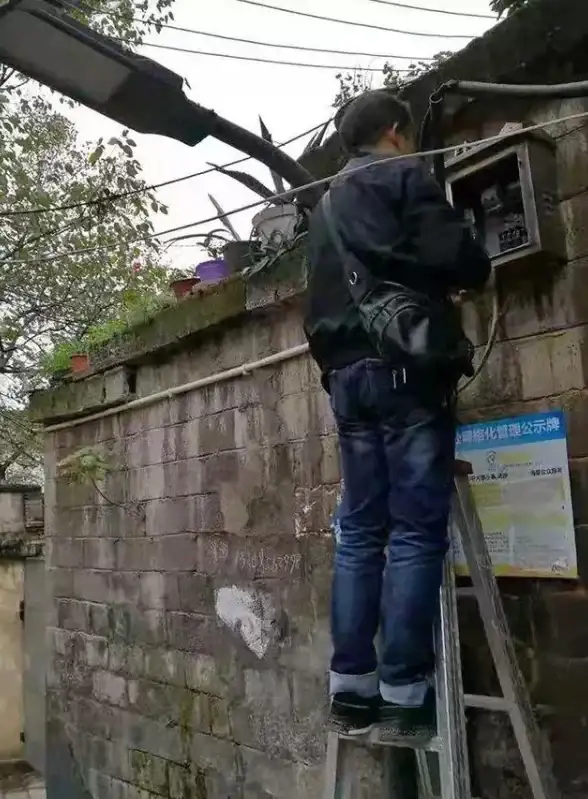 隐藏惊喜✦深入揭秘✦秘密攻略｜探索《此处应有猫》超难隐藏关卡与珍贵收集要点！