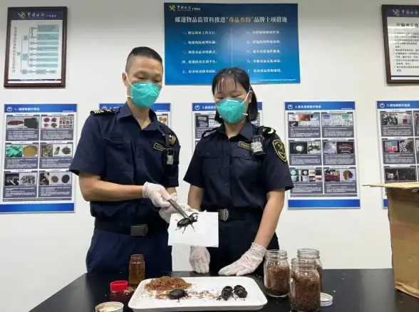 服务器故障|邮件连接异常|为什么服务器无法连接到邮局？常见原因及解决方法解析