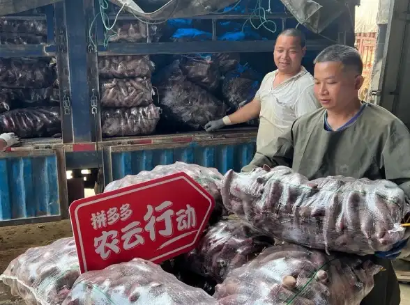 云端加速 初学者专享—美国服务器一键直连教程｜新手必备技巧【云计算热点】