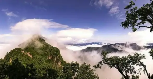 想随时随地查看监控画面？天地伟业APP让你手机变身实时监控屏！