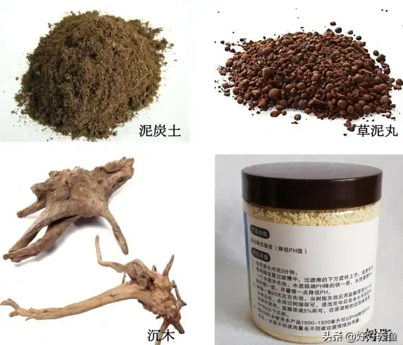 生态保护✦环境变化✦科学揭秘丨珊瑚硬度如何深刻影响海洋生态系统？