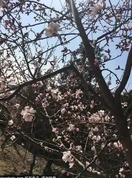 显卡排行🏆性能分析 显卡天梯图详解：GT640性能评测与实用优化指南