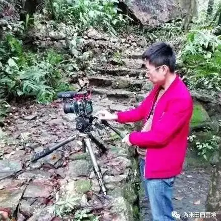 探险🗺硬核🛠游戏，黑森林迷踪》终极最低与推荐配置全解析