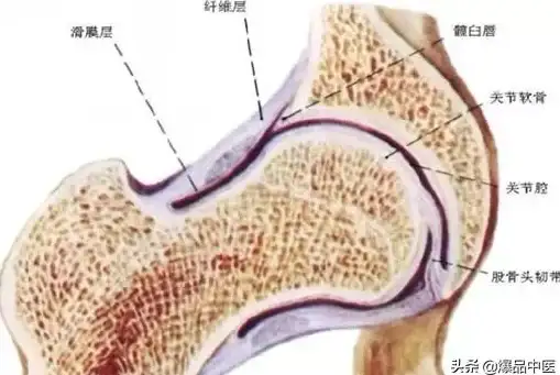 法考备考效率低？试试瑞达法考app，名师直播 智能答疑，助你轻松攻克盲点！