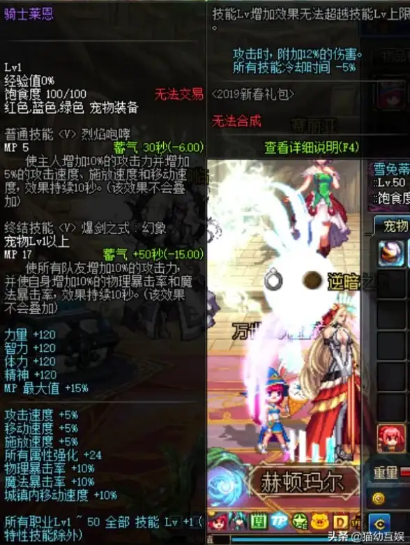 攻略🔥爆款升级 DN手游平民养成最强毕业装备全攻略技巧解析