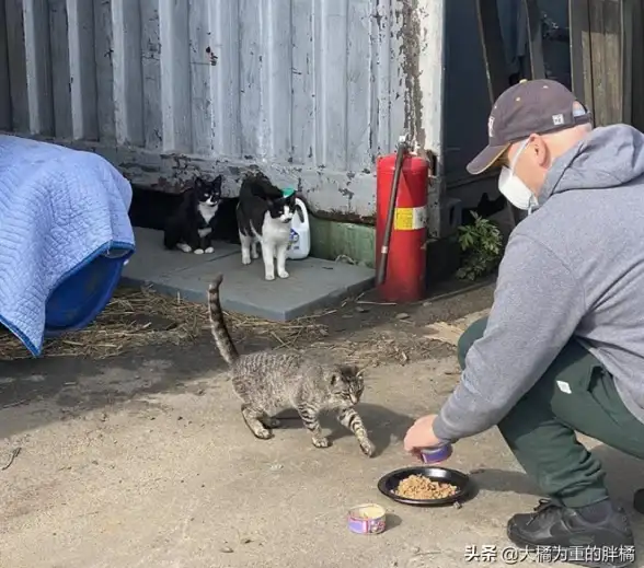 想找短期兼职却不知从何下手？兼职猫海量同城岗位一键匹配！