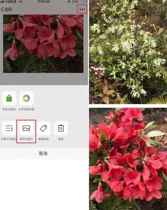 截图教程📱手机截屏的方法大全，快速学会各品牌手机截图技巧