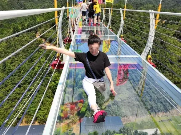 短视频精选 小视频下载神器，一键获取心仪短视频