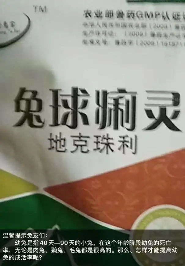 还在为广告烦恼？友兔APP安卓版无广告浏览，个性化推荐你想要的内容！