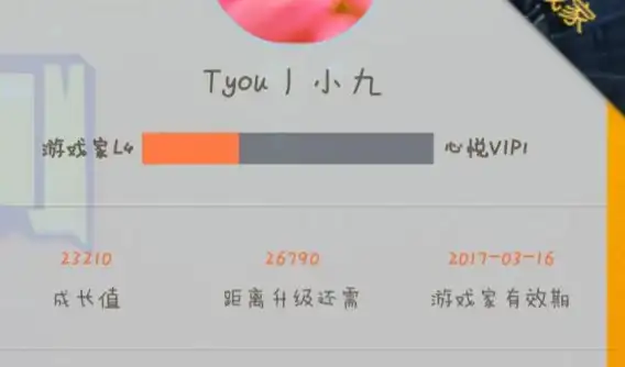 热门攻略 功能详解 使用技巧｜dnf手游物品找回位置及完整条件指南