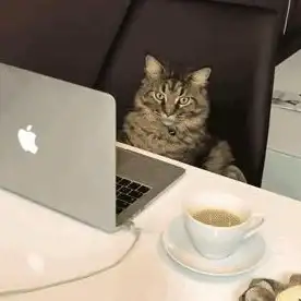 电脑故障💻笔记本开不了机怎么办？小鱼为您详细解析解决方法