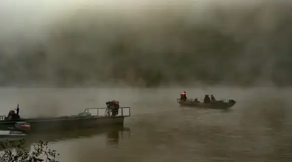 网络故障🚩本地连接持续获取网络地址怎么办？小鱼教您高效解决方法