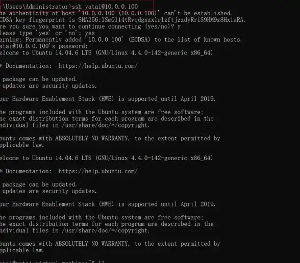 CMD命令行 SSH远程登录：如何使用CMD命令行通过SSH登录到Linux服务器？