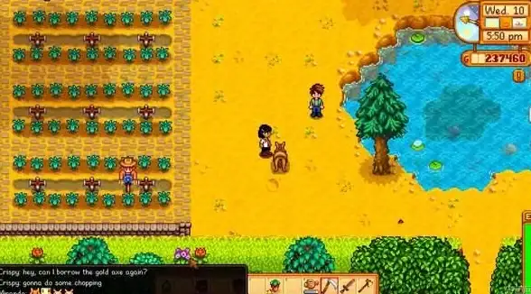 稀有✨攻略 深度剖析 星露谷物语珍稀物品商店全攻略