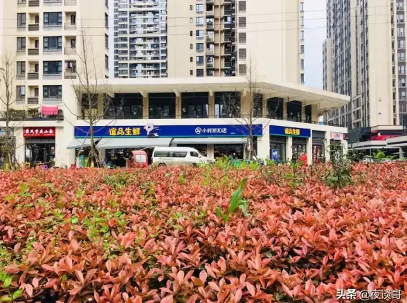 还在为买菜发愁？朴朴超市APP一键下单新鲜直达！
