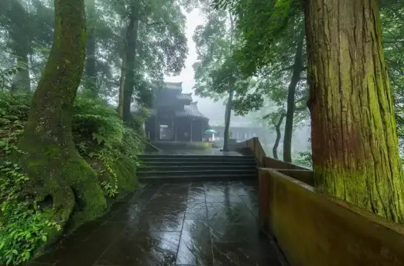 想要精准预报天气？晓雨天气APP难道不是你的最佳选择？