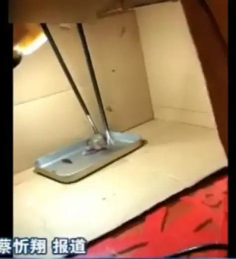 系统维护🛠遇到系统损坏？教你快速在主机上重新安装操作系统的方法