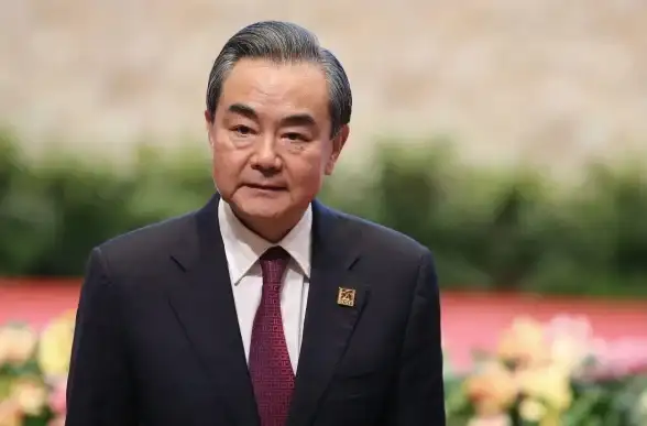 明日边境大D养成路线图：新手阶段成长策略汇总