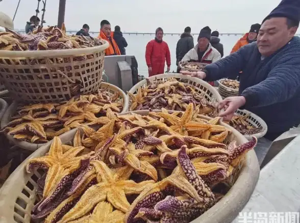 手游攻略 热门关卡 终极技巧 2021保卫萝卜3新版码头关卡深度解析秘籍！