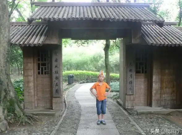动作冒险★策略心得★深度解析｜遇见龙手游贤者遗迹全攻略与实用通关技巧揭秘