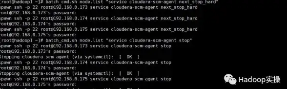 数据库管理 命令行操作 如何使用CMD命令删除MySQL数据库？