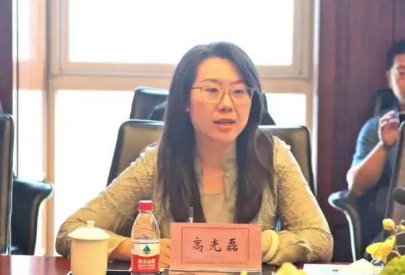 CDN加速,带宽升级-河南驻马店CDN机房带宽扩容案例