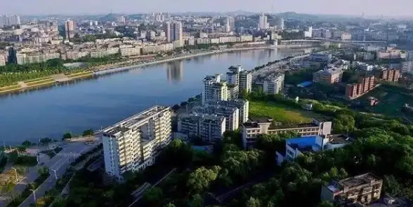 浏览器🚀修复指南：快速定位问题及实用解决技巧