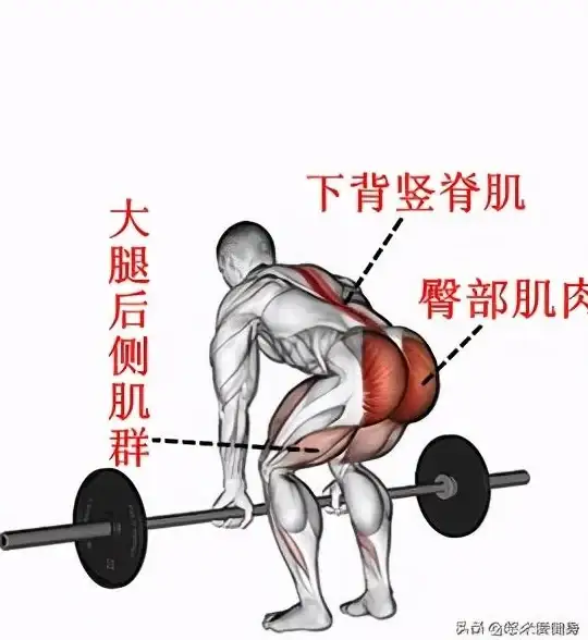 dnf哪个部位强化提升最大