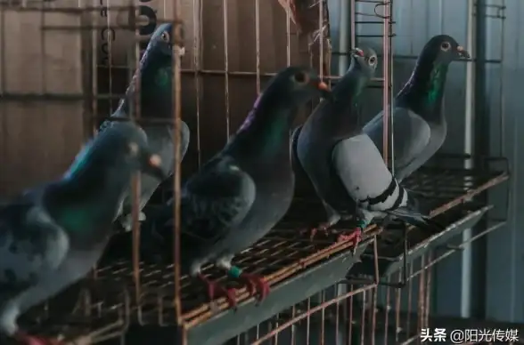 游戏笑话😂童趣娱乐 亲子趣事 小孩子偷钱玩和平精英闹乌龙