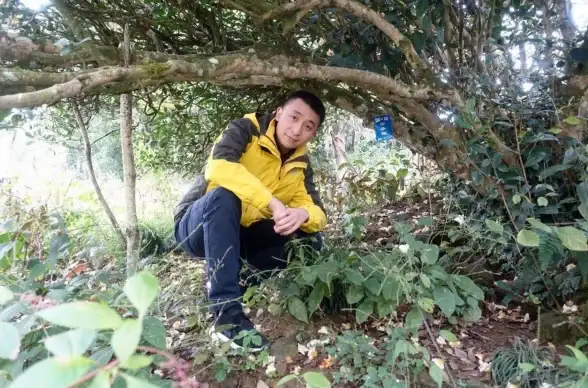 游戏攻略🔥穿越寻宝记与大人家第四关全攻略技巧汇总