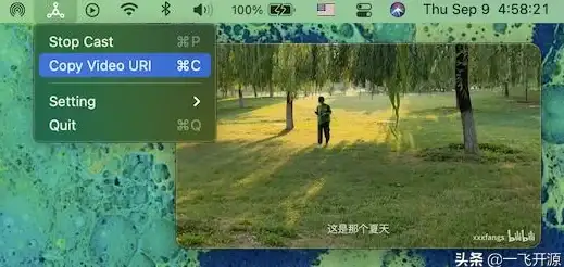 投屏教程📱手机投屏到电脑操作指南与常见问题解答