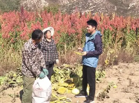 CDN加速,多网融合-承德本地CDN节点对比：多运营商覆盖