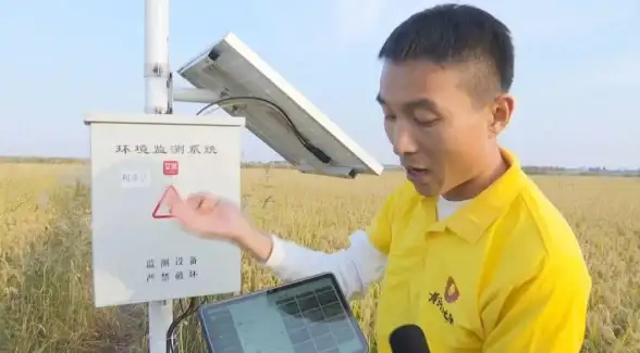 信息安全🚀系统管理员：企业数字化时代高效运维与安全保障的中坚力量