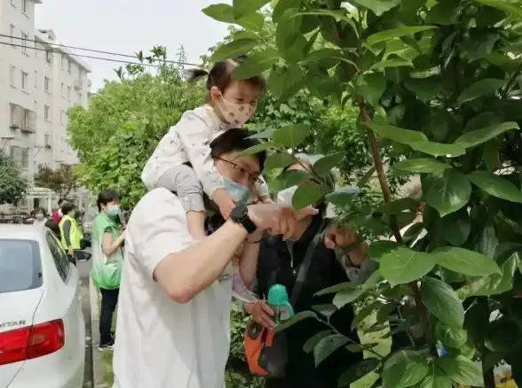 冒险乐园🍏挑战极限收获，苹果游戏果园大冒险等你来闯