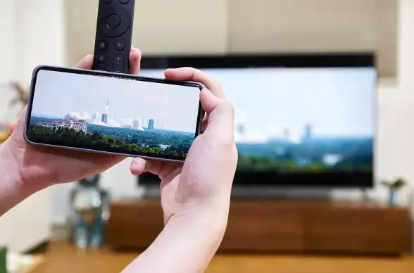 想自由添加片源？这款TV版APP让你随心看！